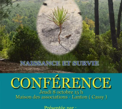 Conférence :La forêt du Bassin d' Arcachon
