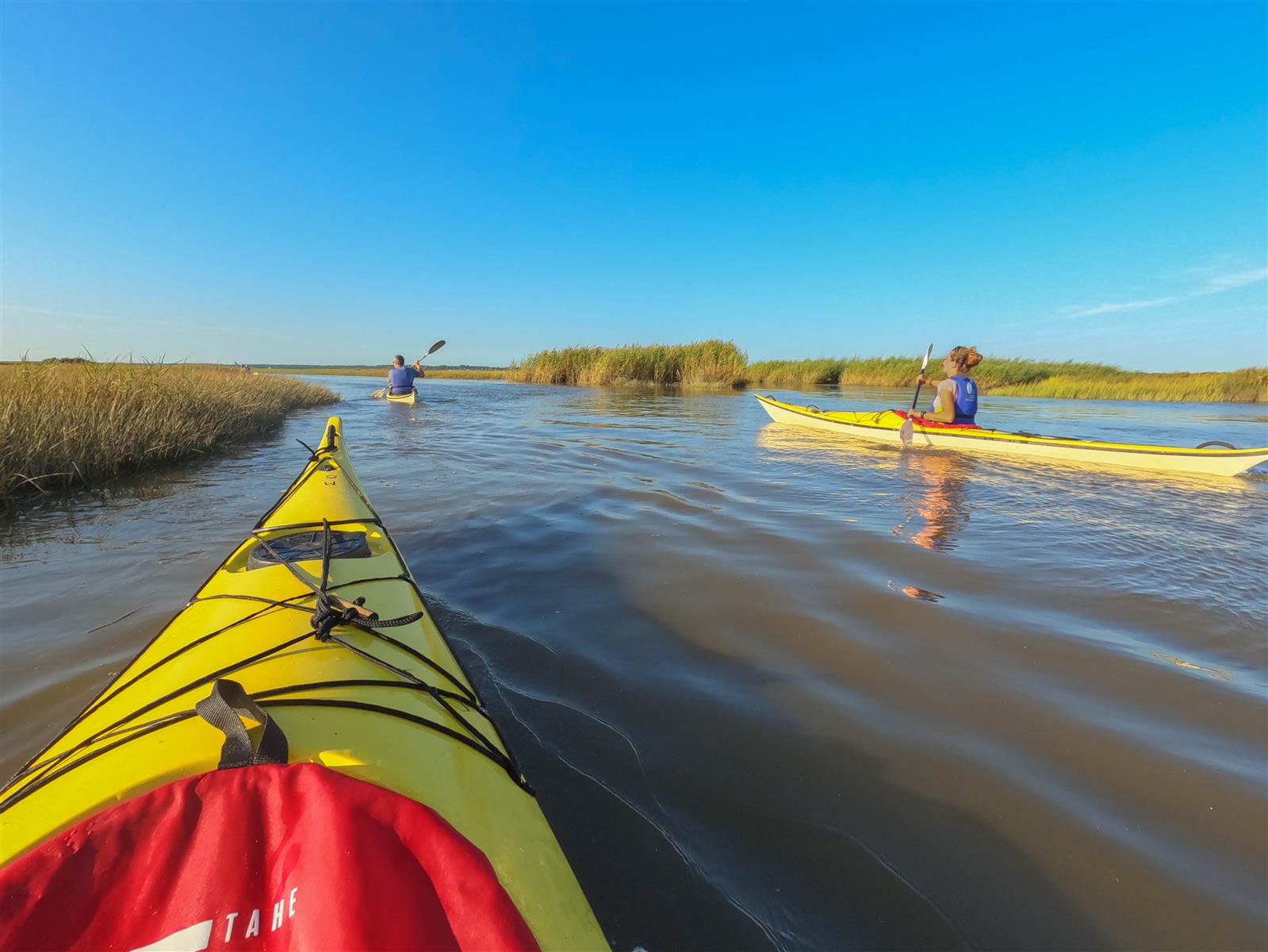 Sortie en kayak de mer - Découverte du delta d ...