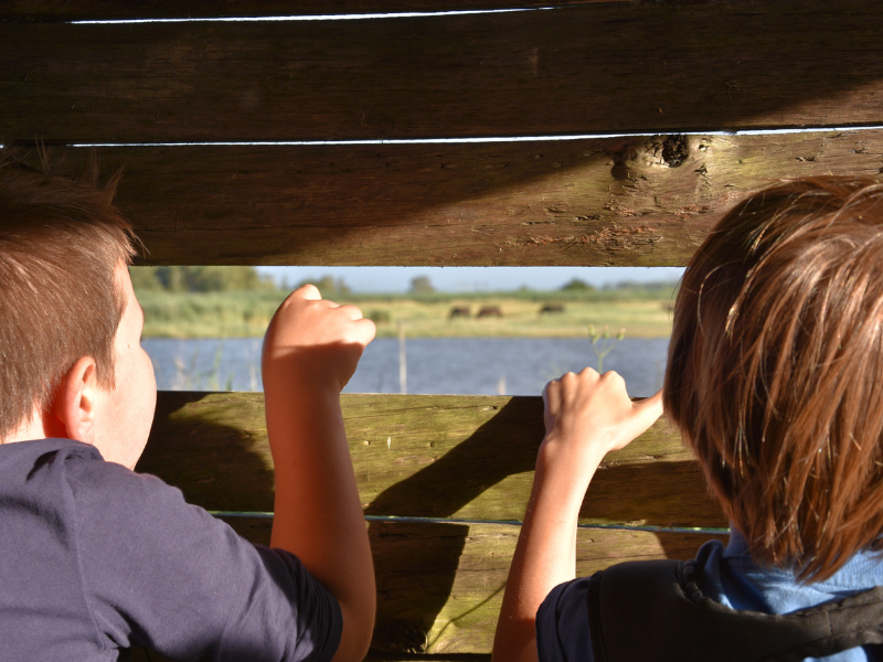 Mardi famille à Terres d'Oiseaux