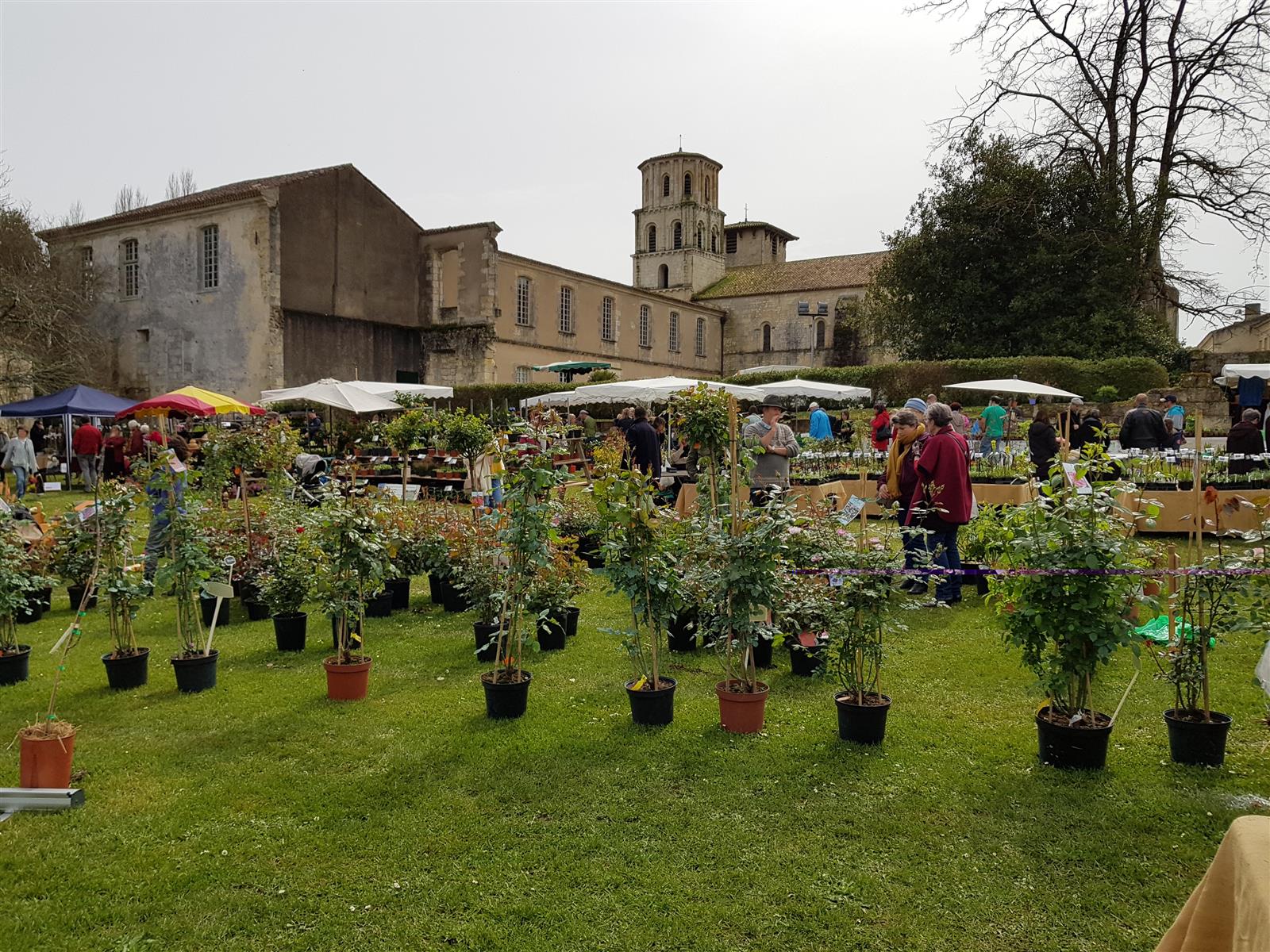 Foire aux plantes "La Passiflore" : plantes et ...