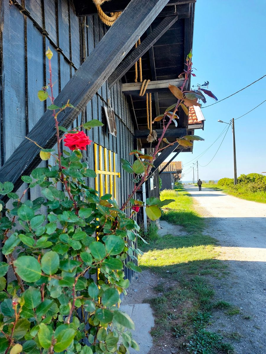 Gujan Mestras Tourist Office - Tourist Offices in Gujan-Mestras - Guide  Bordeaux Gironde