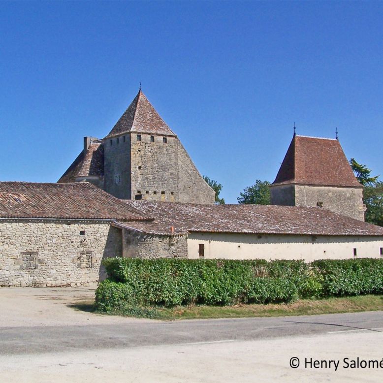 Lavison Castle