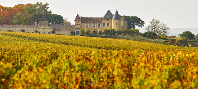 Yquem Castle