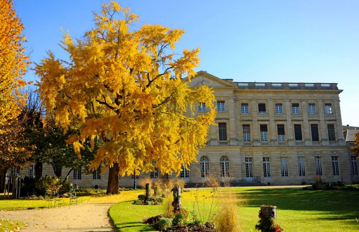 Town Hall Garden