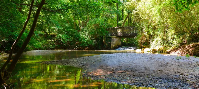 Moulin Bidon site
