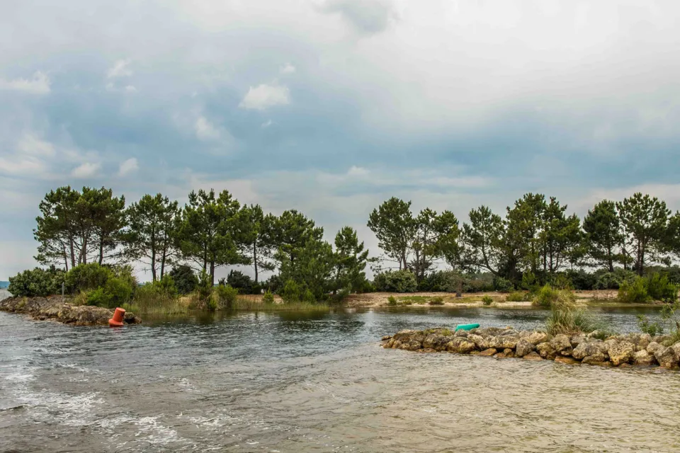 Rives Est du lac d'Hourtin