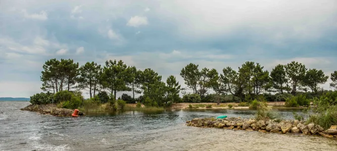 Rives Est du lac d'Hourtin