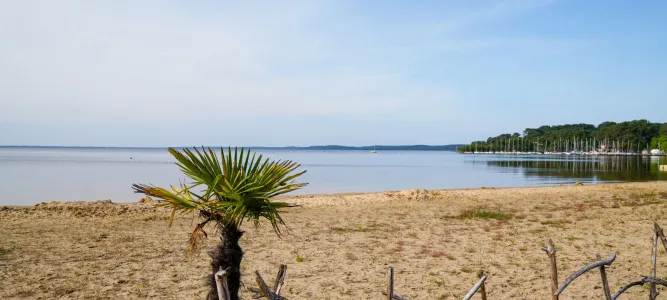 Lac de Lacanau