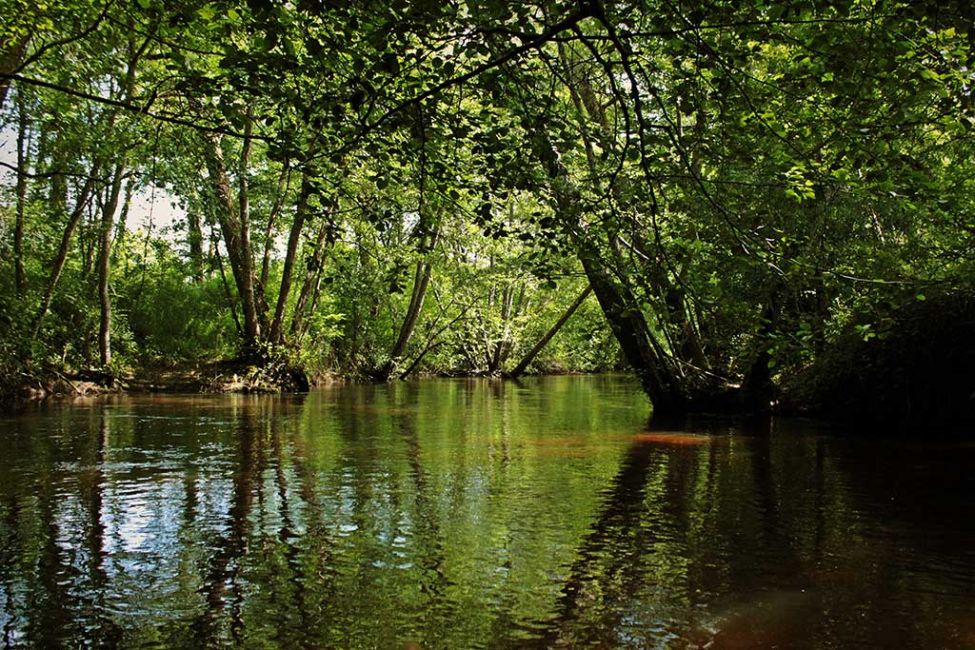 Canoë Kayak Bommes Nautique