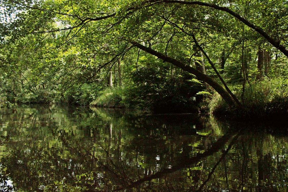 Canoë Kayak Bommes Nautique