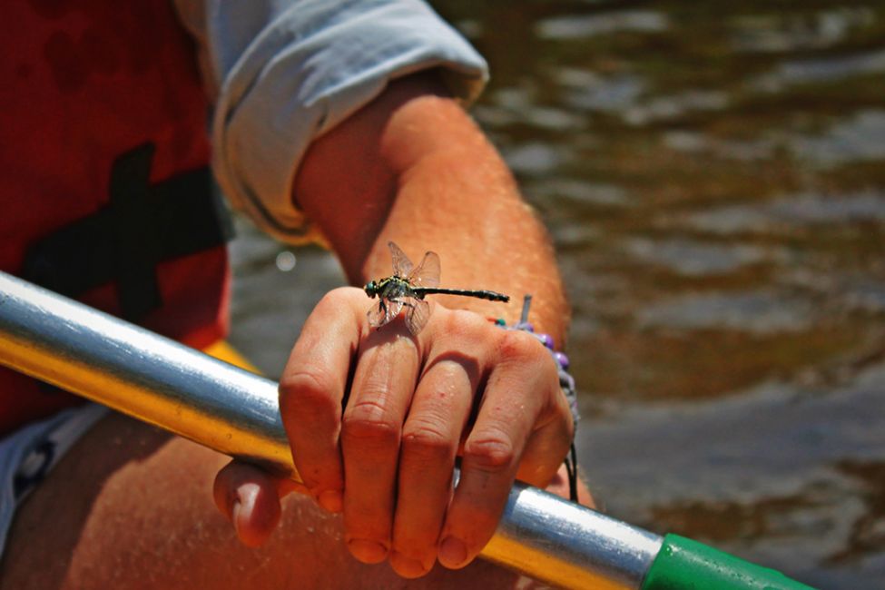 Canoë Kayak Bommes Nautique