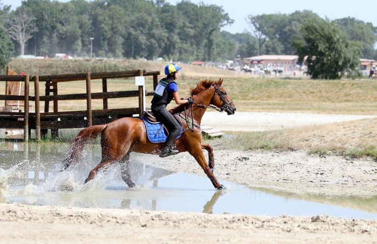 Mios Equestrian Center