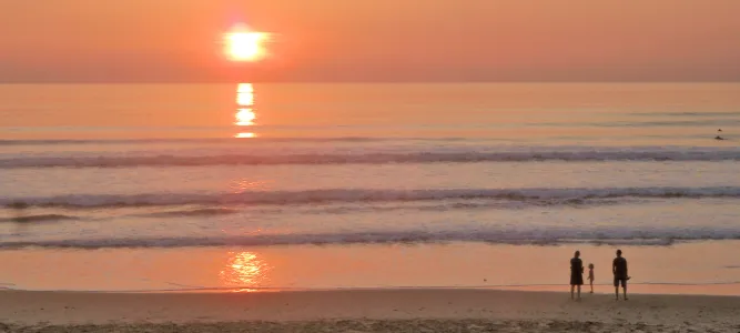 Lion's beach