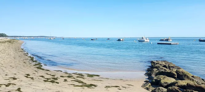 Vigne beach