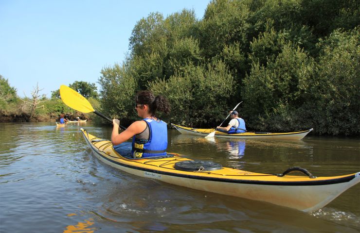 Arcachon Basin Nature House