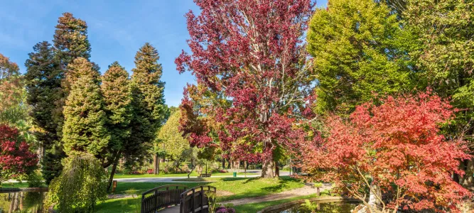 Mauresque Park