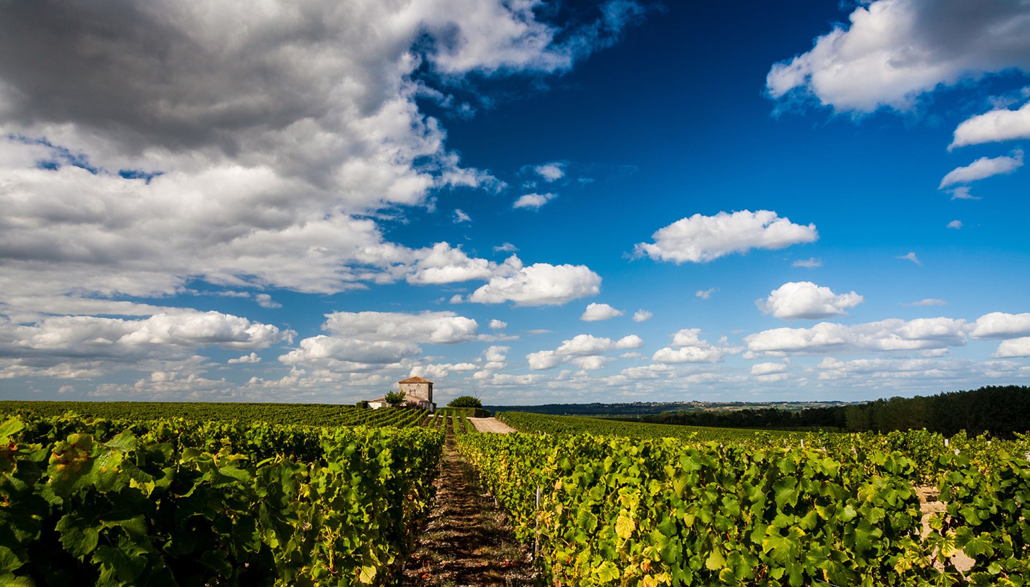 Vacances originales en Gironde : Escapade dans le Sauternais et le sud-Gironde