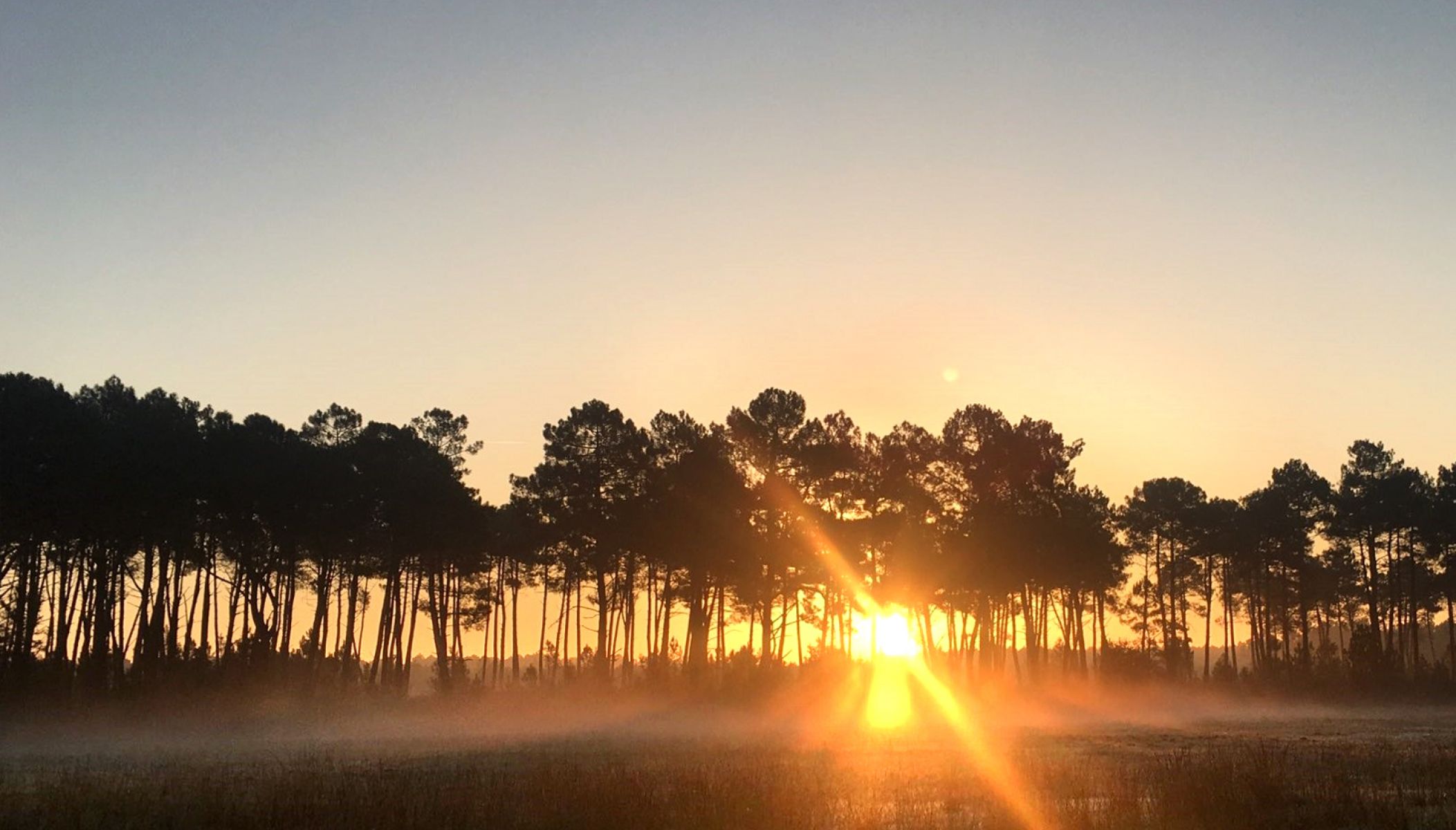De bonnes idées et activités pour profiter du Sud Médoc hors saison !