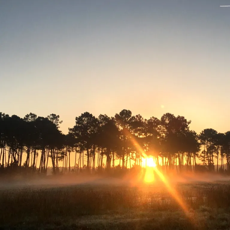 Great ideas and activities to enjoy the South ...
