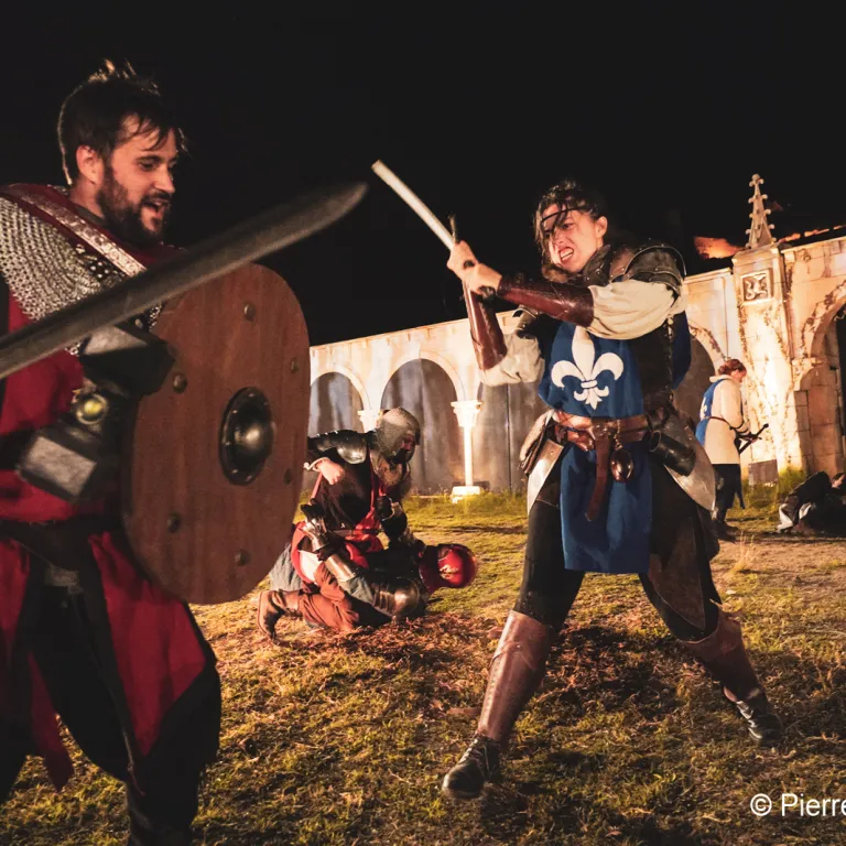 The Battle of Castillon: Historical sound and ...