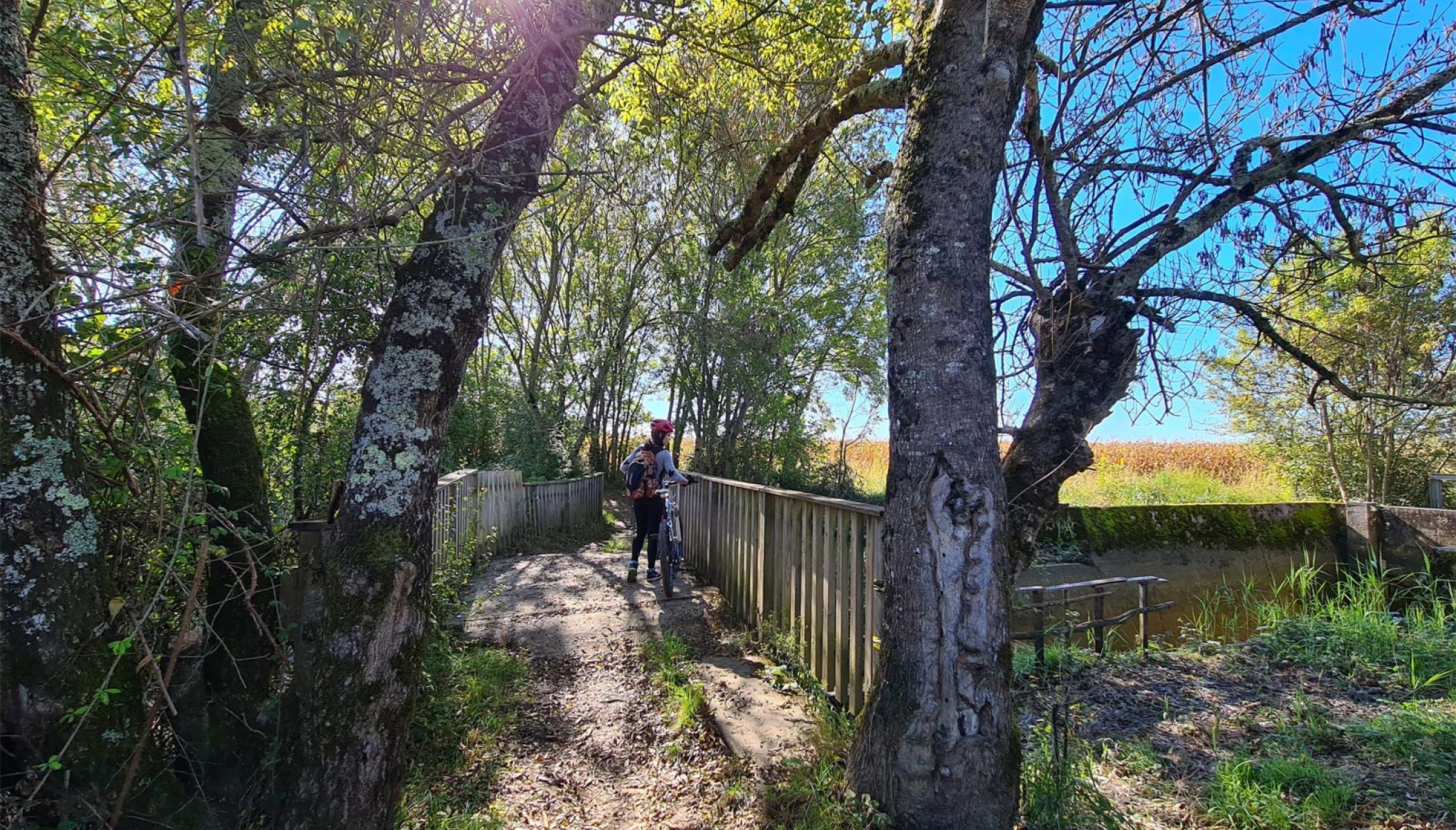 Tourisme éco responsable en Gironde et autour de Bordeaux