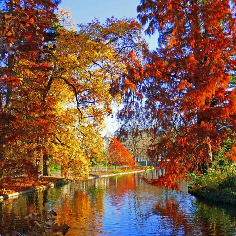 What to do in Bordeaux and the Gironde region ...