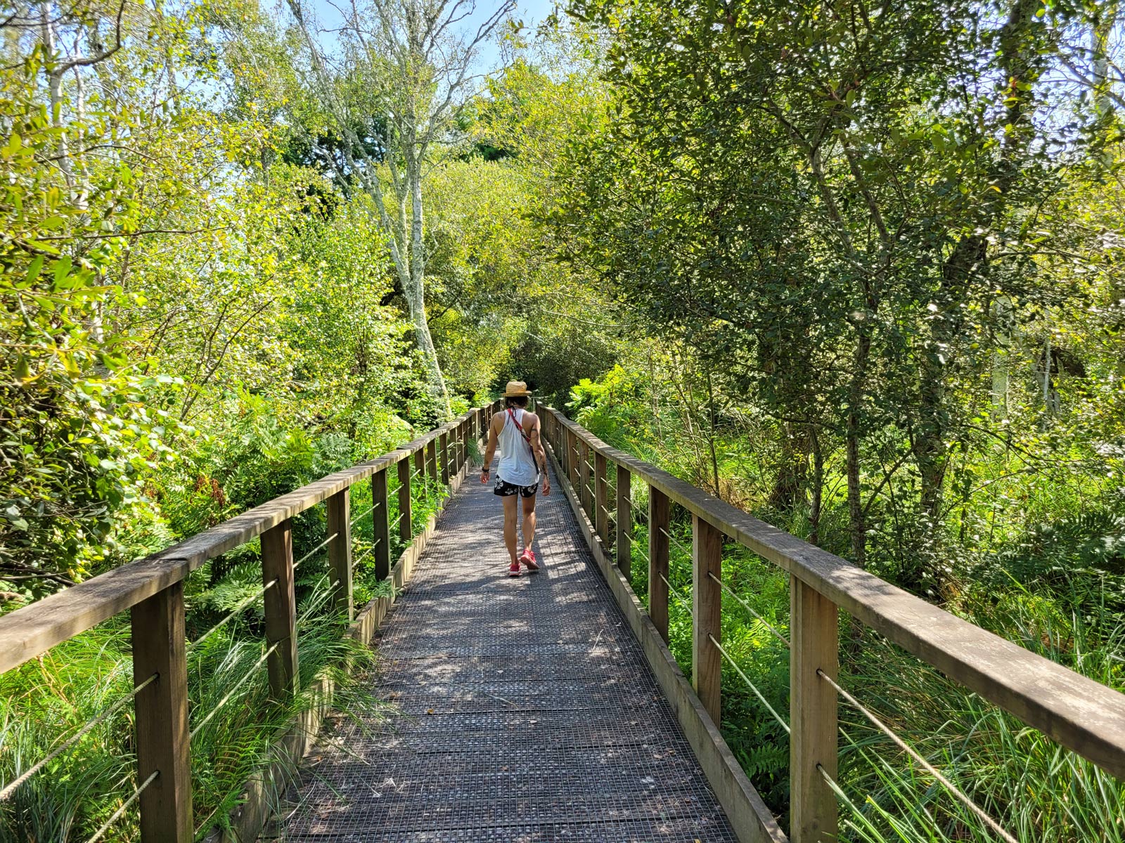 Promenade sur les passerelles suspendues de la Lagune de Contaut à Hourtin 