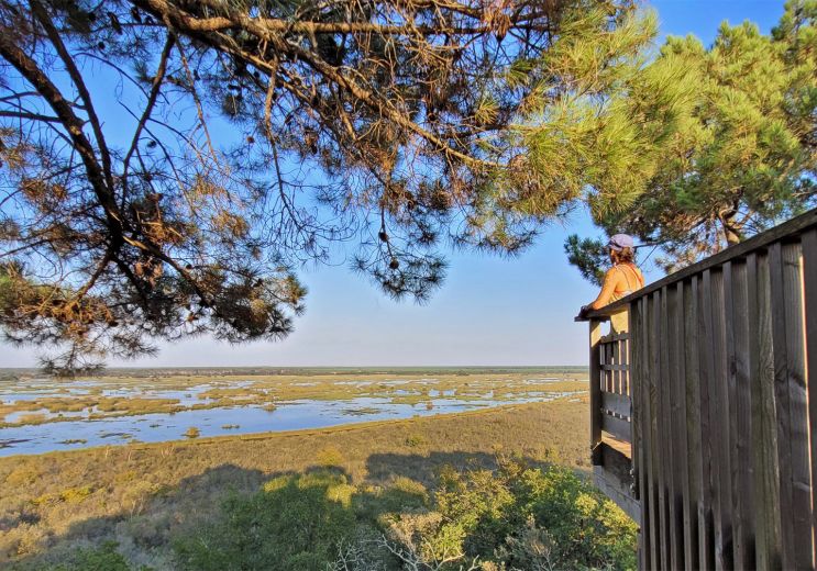 La Réserve Naturelle de l’Etang de Cousseau