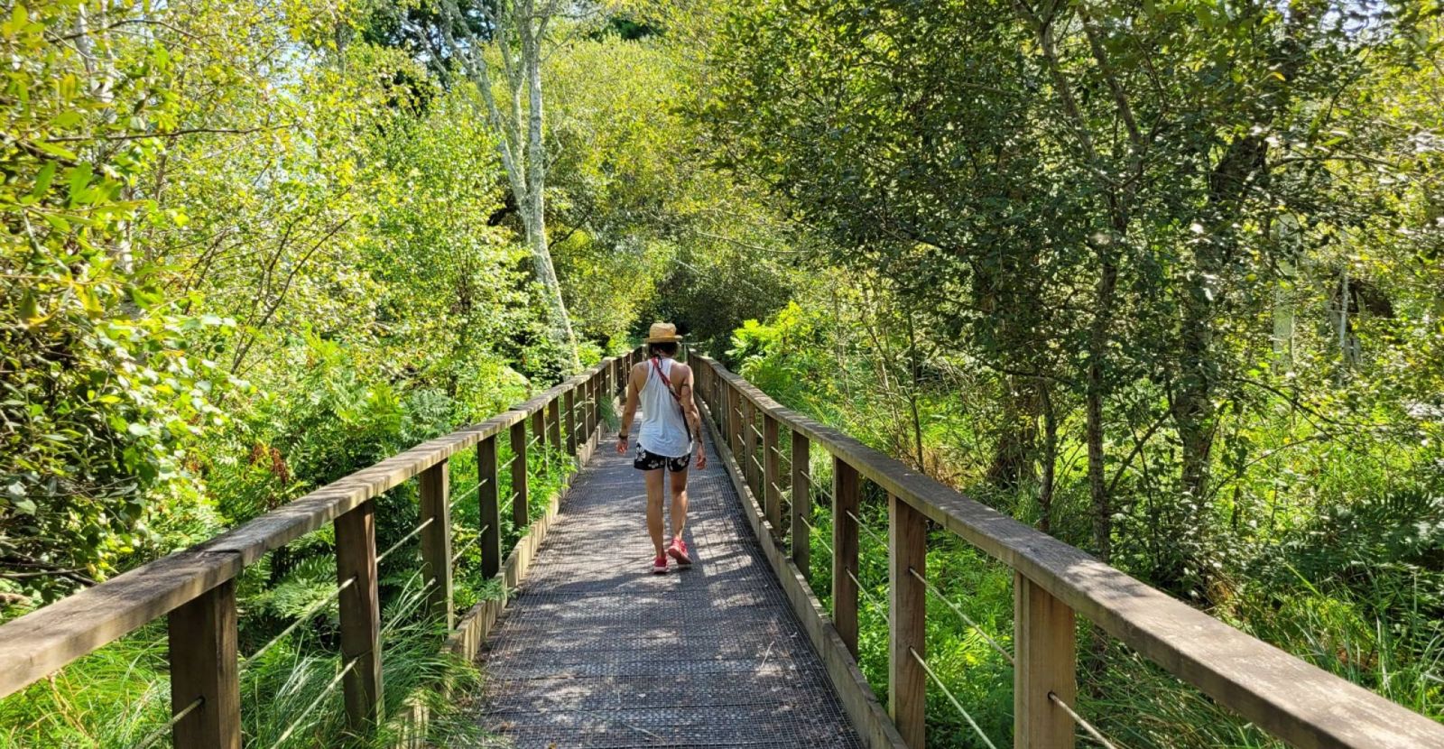 Walk on the suspended footbridges of the Contaut Lagoon in Hourtin