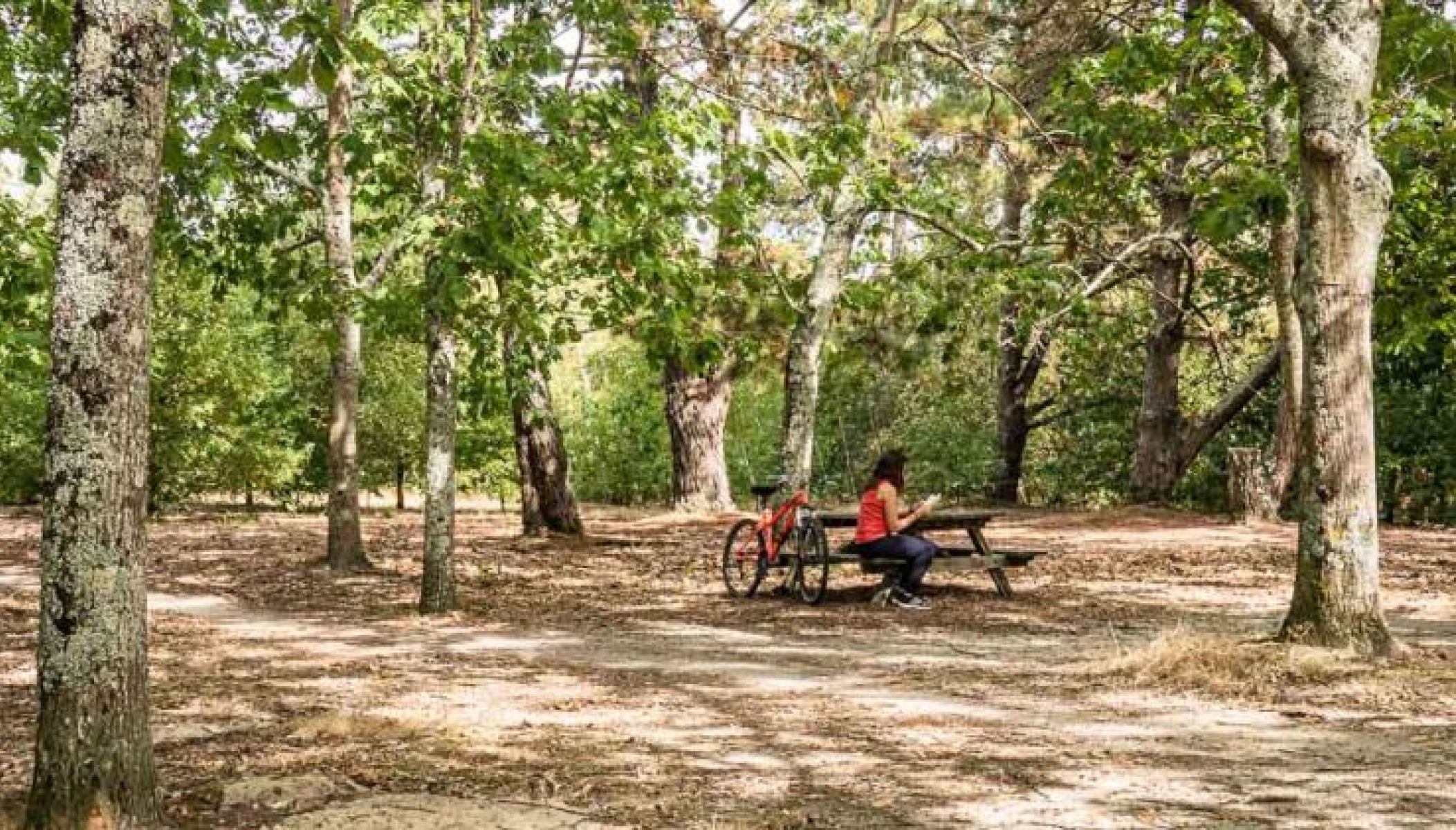 Balade à vélo nature au nord de Bordeaux