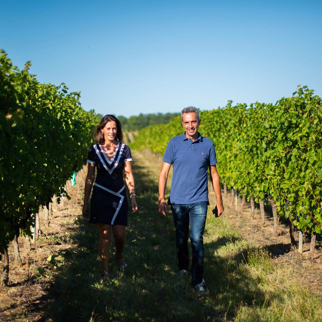 Découvrez un vignoble qui s’étend sur 85 hectares - Au Château La Verrière