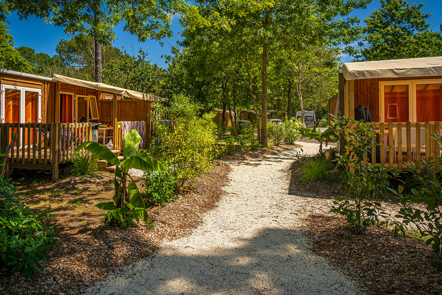 Photo : © Aloa Vacances - Camping l'Orée du Bois